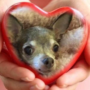 Meet your Posher, Malina